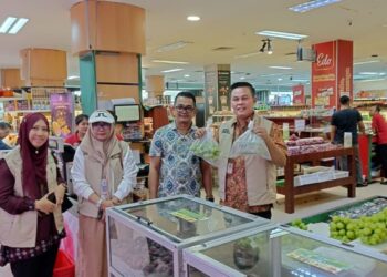 Hasil Uji Labor, Pemko Pekanbaru Pastikan Anggur Muscat Aman Dikonsumsi