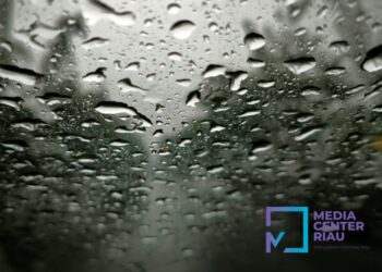 Prakiraan BMKG: Cuaca Riau Hari Ini Didominasi Hujan Ringan, 13 Titik Panas Terdeteksi