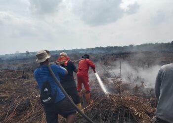 Karhutla di Sungai Segajah Jaya Capai 7,5 Hektare, Tim Gabungan Terus Lakukan Pemadaman