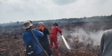 Karhutla di Sungai Segajah Jaya Capai 7,5 Hektare, Tim Gabungan Terus Lakukan Pemadaman