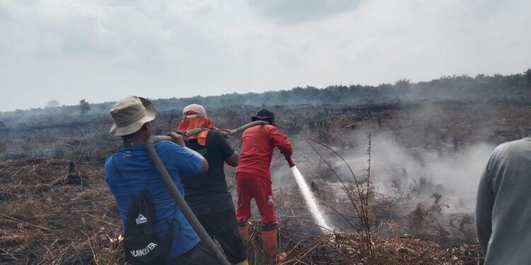Karhutla di Sungai Segajah Jaya Capai 7,5 Hektare, Tim Gabungan Terus Lakukan Pemadaman