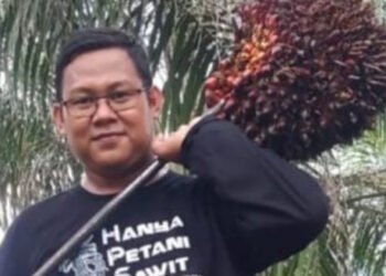 Harga TBS Sawit Riau Kembali Naik, Umur 9 Tahun Capai Rp3.884,84 per Kg
