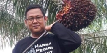 Harga TBS Sawit Riau Kembali Naik, Umur 9 Tahun Capai Rp3.884,84 per Kg