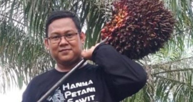 Harga TBS Sawit Riau Kembali Naik, Umur 9 Tahun Capai Rp3.884,84 per Kg